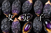 望叔平替听故事学中药材